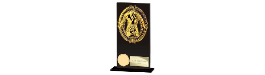 FUSION MAVERICK MARTIAL ARTS GLASS TROPHY - 5 SIZES - 12.5CM - 20CM FUSION MAVERICK MARTIAL ARTS GLASS TROPHY - 5 SIZES - 12.5CM - 20CM